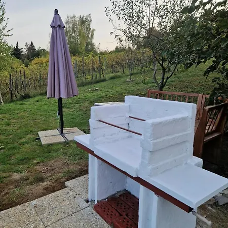 招待所 Barati Vendeghaz Győrújbarát